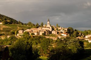 la roche vineuse